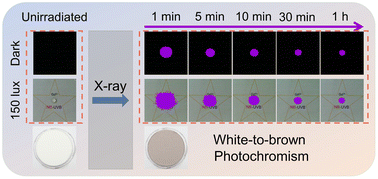 Graphical abstract: A narrowband ultraviolet-B-emitting LiCaPO4:Gd3+ phosphor with super-long persistent luminescence for over 100 h