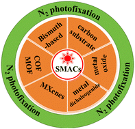 Graphical abstract: The use of single-metal atom-based photocatalysts for the production of ammonia through photocatalytic nitrogen fixation