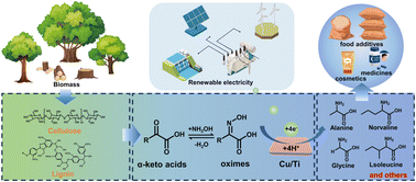 Graphical abstract: Efficient electrosynthesis of alanine from α-keto acids over a self-supported electrocatalyst with superior activity