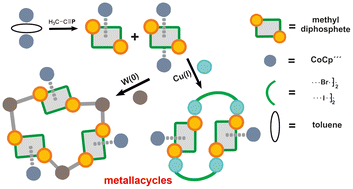 Graphical abstract: Synthesis, oxidation and unusual coordination chemistry of the diphosphete complex [(Cp′′′Co)2(μ,η4:4-(CH3CP)2)]