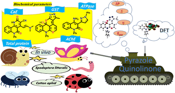 Graphical abstract: Chemoselective synthesis of tunable poly-functionalized binary pyrazolyl and annulated pyrazolo/pyrido anchored on quinolinone: insecticidal and antioxidant studies