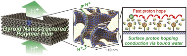 Graphical abstract: Surface proton hopping conduction mechanism dominant polymer electrolytes created by self-assembly of bicontinuous cubic liquid crystals