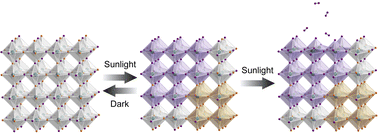 Graphical abstract: Evidence for I2 loss from the perovskite–gas interface upon light-induced halide segregation