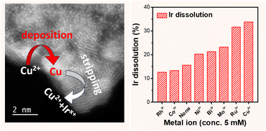 Graphical abstract: Enhanced electrochemical dissolution of iridium oxide in acidic electrolytes through presence of metal ions: shortened lifetime and hope for recovery