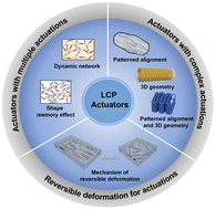 Graphical abstract: Liquid crystal polymer actuators with complex and multiple actuations