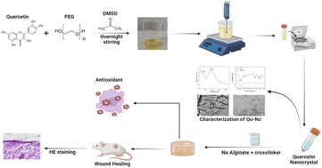 Graphical abstract: Quercetin nanocrystal-loaded alginate hydrogel patch for wound healing applications