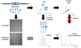 Graphical abstract: Going hi-res in bulk: flowless multiangle dynamic light scattering for detection on asymmetric flow field flow fractionation