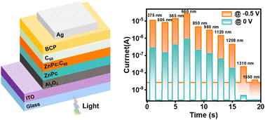Graphical abstract: Atomic-layer tailored organic photodetectors: harnessing intermolecular charge-transfer absorption for expanded spectral sensitivity up to the telecommunication band