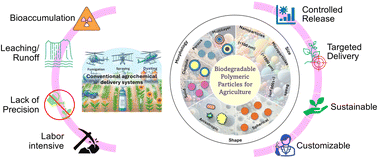Graphical abstract: Exploration of biodegradable polymeric particles in agriculture: a holistic approach for sustainable farming