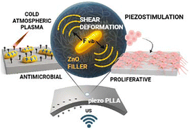 Graphical abstract: Piezostimulation using ultrasound-active poly-l-lactide films: the effects of a ZnO filler and cold atmospheric plasma surface treatment