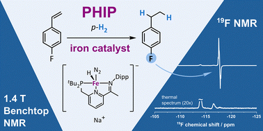 Graphical abstract: Highly active iron catalysts for olefin hydrogenation enable para-hydrogen induced hyperpolarisation of 1H and 19F NMR resonances at 1.4 Tesla