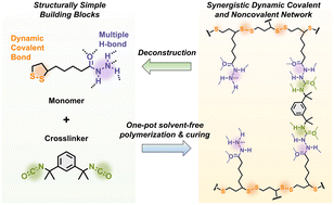 Graphical abstract: Mechanically tough dynamic poly(disulfide)s crosslinked by acylsemicarbazides