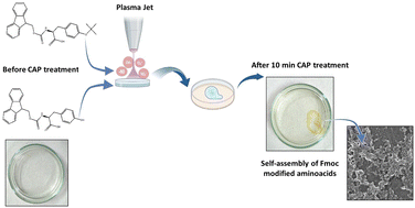 Graphical abstract: Stimuli-responsive gelation of Fmoc-l-tyrosine derivatives to form supramolecular architectures via cold atmospheric plasma treatment