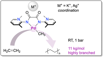 Graphical abstract: Tunable bis(pyridinium amidate) ligands efficiently promote palladium-catalyzed ethylene polymerization