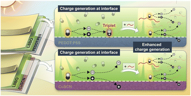 Graphical abstract: Elucidating the role of heterojunction in pristine non-fullerene acceptor organic solar cells