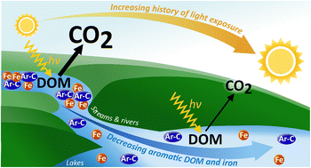 Graphical abstract: Controls on the apparent quantum yield for photomineralization of dissolved organic matter in arctic freshwaters