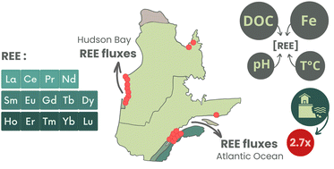 Graphical abstract: Drivers and riverine fluxes of rare earth elements to coastal ecosystems across temperate, boreal, and subarctic ecoregions in Eastern Canada