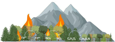 Graphical abstract: Mobility of nitrogen in ashes and soils impacted by wildfires in northern California and Nevada