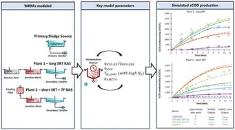 Graphical abstract: Hydrolysis modeling for combined primary and RAS sludge fermentation at water resource recovery facilities