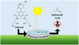 Graphical abstract: Iodinated disinfection byproduct formation from iohexol in sunlit and chlorinated urban wastewaters