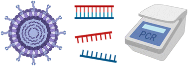 Graphical abstract: Importance of a heat snap in RT-PCR quantification of rotavirus double-stranded RNA in wastewater