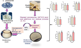 Graphical abstract: Development and characterization of probiotic processed cheese