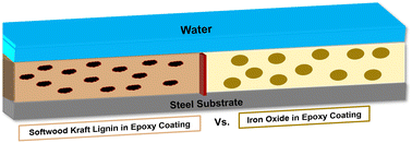 Graphical abstract: Molecular weight dependent water uptake and dynamics in lignin-based epoxy anticorrosive coatings