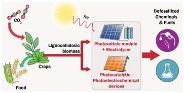 Graphical abstract: Powering lignocellulose biorefineries with solar energy – a critical review with furfural as a case study