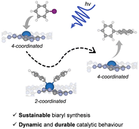 Graphical abstract: Light-driven and green Ullmann homocoupling with a Pd single-atom catalyst
