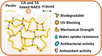Graphical abstract: Fabrication of biodegradable and active pectin-based films with enhanced properties by the incorporation of natural eutectic solvents