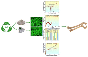 Graphical abstract: Microstructural, mechanical, corrosion, and biological behavior of spark plasma sintered commercially pure zinc for biomedical applications