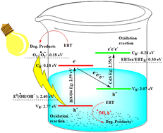 Graphical abstract: A photodegradation study of the deposition fabricated CdS–BiVO4 binary catalyst: a brief comparison with other fabrication procedures