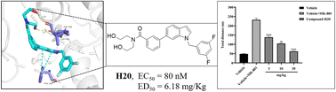 Graphical abstract: Structure–activity optimization of N-arylindole GPR52 agonists for enhanced antipsychotic efficacy: design, synthesis, and pharmacological evaluation