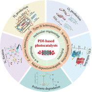 Graphical abstract: Perylene diimide-based photocatalysts: from molecular design to emerging applications