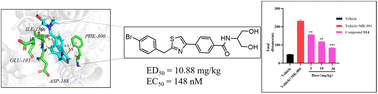 Graphical abstract: Design and synthesis of 2,4-disubstituted thiazole amide derivatives as potential anti-schizophrenia agents