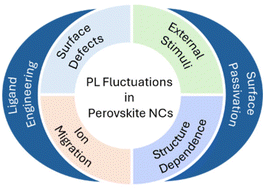 Graphical abstract: Photoluminescence fluctuations in single perovskite nanocrystals: structural, environmental and ligand effect