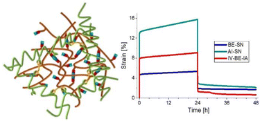Graphical abstract: Interpenetrating vitrimers based on dioxaborolane metathesis and imine-aldehyde exchange