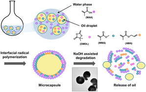 Graphical abstract: Base-assisted degradable methacrylic polymer microcapsules synthesized via interfacial radical polymerization using 4,4-dimethyl-2-methylene-1,3-dioxolan-5-one (DMDL)