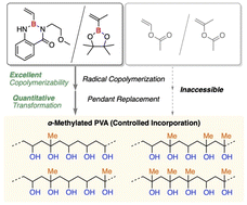 Graphical abstract: Property modulation of poly(vinyl alcohol)s via controlled incorporation of α-methyl groups using alkenylboron monomers