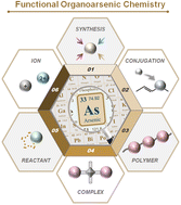 Graphical abstract: The rise of functional organoarsenic chemistry