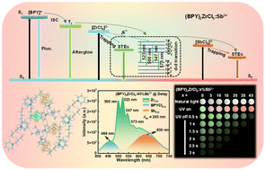 Graphical abstract: Single-component zero-dimensional (BPY)2ZrCl6:Sb3+ hybrid perovskite exhibiting excitation-dependent multi-color fluorescence and afterglow for advanced hierarchical anti-counterfeiting