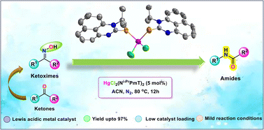 Graphical abstract: Beckmann rearrangement of ketoximes for accessing amides and lactams promoted by a perimidine-2-thione supported Hg(ii) complex: a mechanistic perception