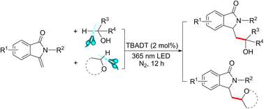 Graphical abstract: Tetrabutylammonium decatungstate-catalyzed hydroalkylation/alkoxylation of 3-methyleneisoindolin-1-ones with alcohols/ethers through hydrogen atom transfer process