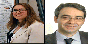 Graphical abstract: Introduction to the RSC Advances themed collection on nanotubes: fabrication, properties, and applications