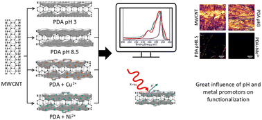Graphical abstract: Role of metal ion promoters in carbon nanotubes functionalization by polydopamine in the perspective of electroplated copper–carbon composites
