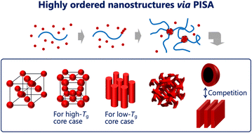 Graphical abstract: Polymerization-induced self-assembly enables access to diverse highly ordered structures through kinetic and thermodynamic pathways