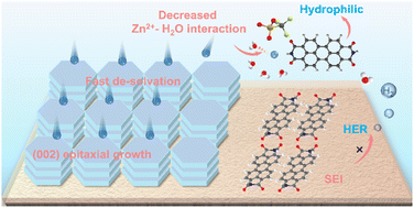 Graphical abstract: A dynamic amphiphilic additive with dual solubility modulates Zn2+ solvation and in situ SEI for a dendrite-free zinc anode