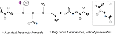 Graphical abstract: Photocatalyzed hydrogen atom transfer enables multicomponent olefin oxo-amidomethylation under aerobic conditions