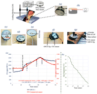 Graphical abstract: Novel approach to monitor local tissue ischemia associated with pressure ulcers using an optical fibre carbon dioxide sensor