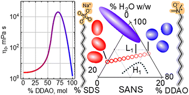 Graphical abstract: SANS and rheology of elongated SDS–DDAO mixed micelles near the phase boundary